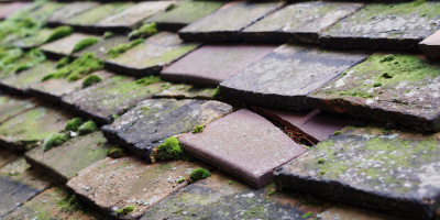 Stockwood roof repair costs